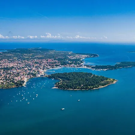 Vizula By Interhome Appartement *